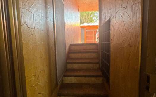CASA EN RENTA BUGAMBILIAS ZAPOPAN