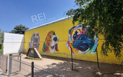 DEPARTAMENTO EN RENTA EL CAMPANARIO ZAPOPAN