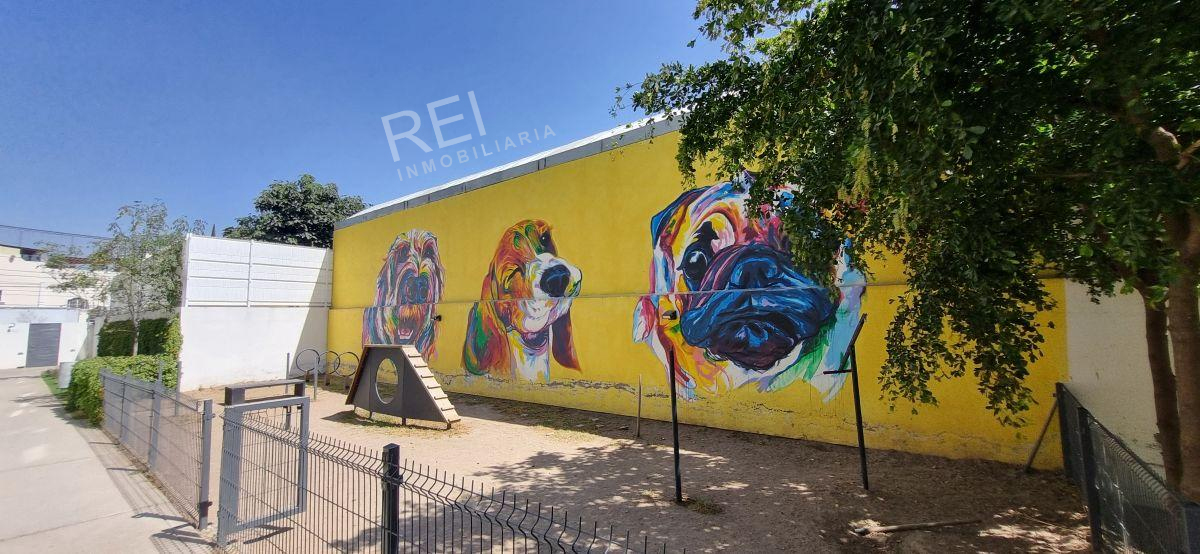 DEPARTAMENTO EN RENTA EL CAMPANARIO ZAPOPAN